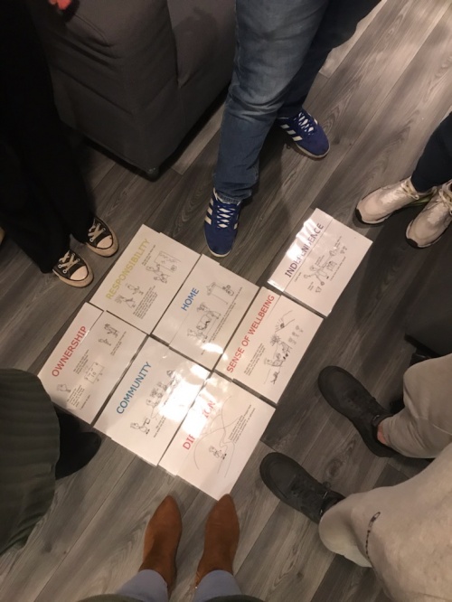 All about the ORCHIDS